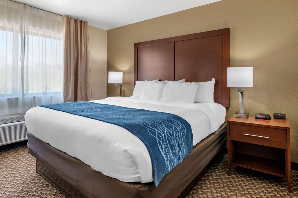 Comfort Inn Near Kokomo Speedway - photo 26