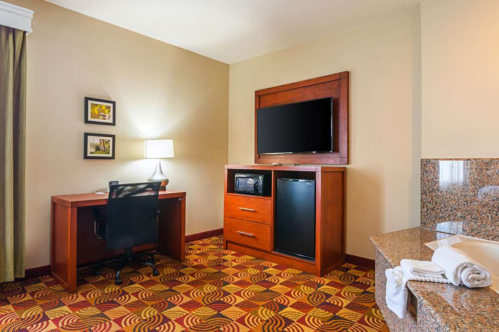 Comfort Suites Lake Charles - photo 23