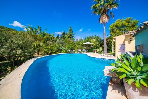 Ideal Property Mallorca Patufa — Alcudia — photo 3