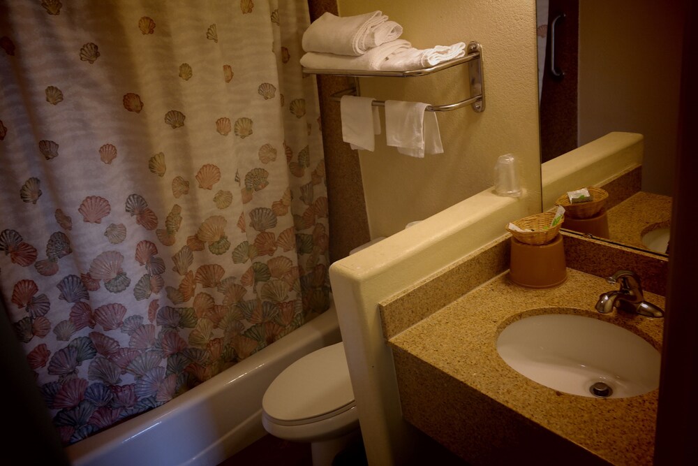 Chandler Inn - photo 13
