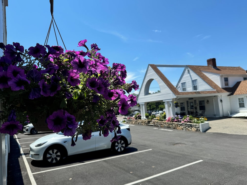 Blue Spruce Motel & Townhouses - photo 34