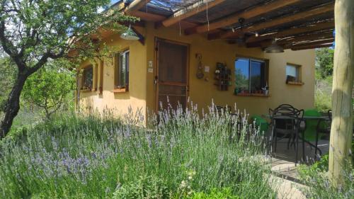 El churqui in Unknown City, Argentina