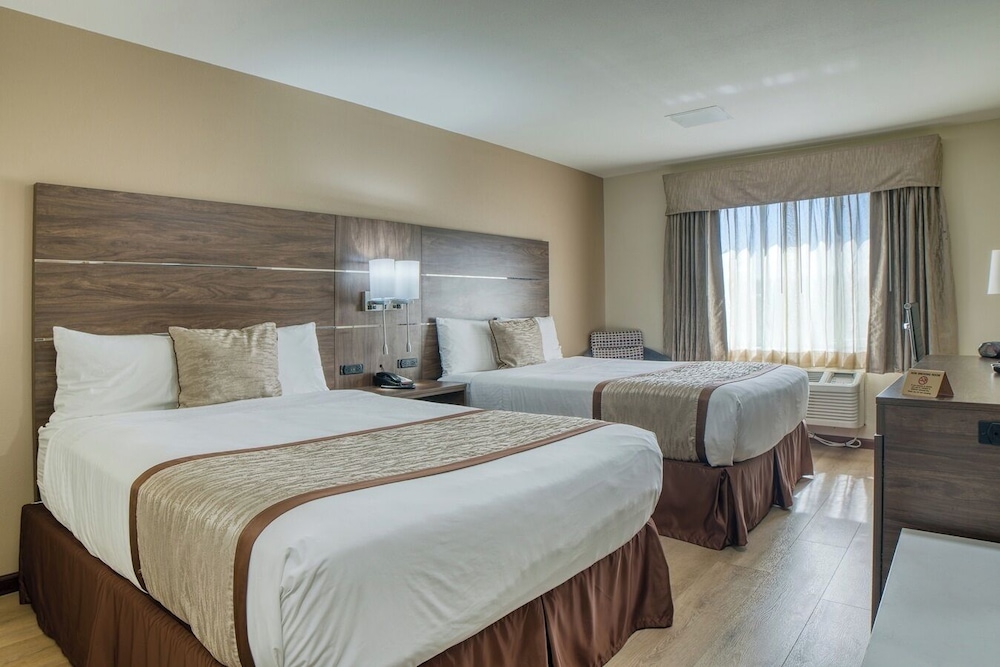 Evergreen Inn and Suites - photo 6