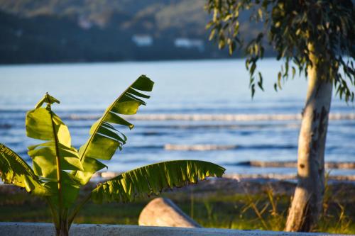 Villetta del mare corfu — Perivoli — photo 4