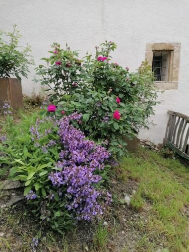 Ferienhaus Turilji in Unknown City, Switzerland