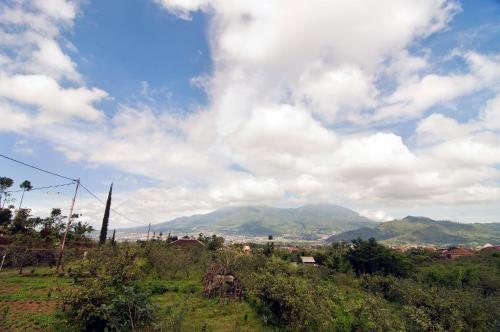 Villa Mulyono — Batu — photo 4
