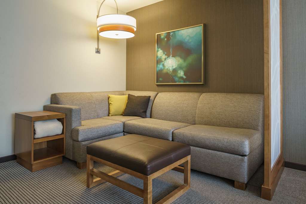 Hyatt Place Houston Galleria - photo 10