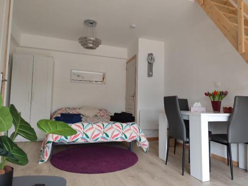 Studio Garden Parking Airport Eurexpo Groupama Stadium in Genas, France