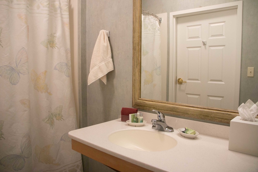 Essenhaus Inn & Conference Center - photo 46