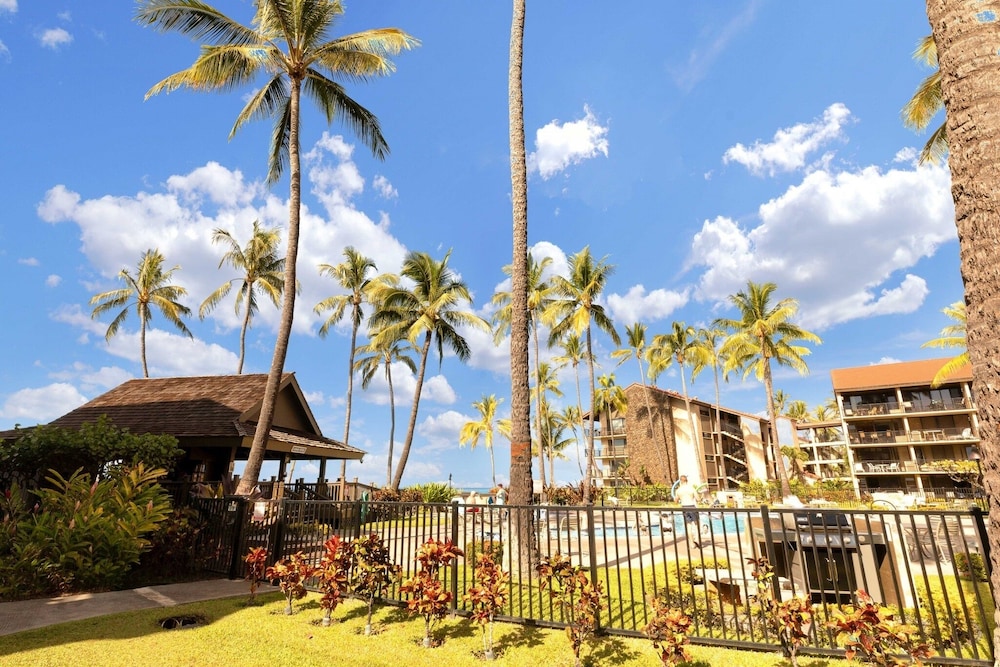 Panoramic Ocean View 1br Condo Suite 150 Feet From The Ocean At Papakea Ocean Front Resort 1 Bedroom Condo by RedAwning - photo 25