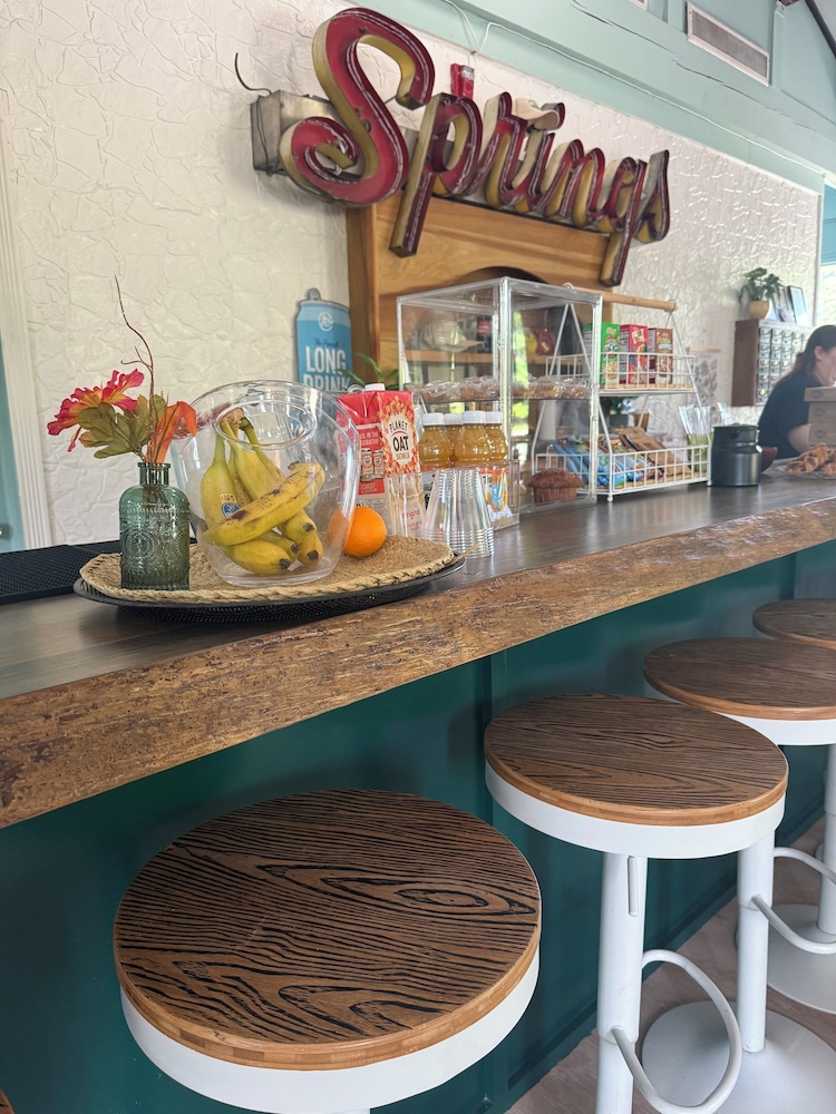 The Springs Motel - photo 56