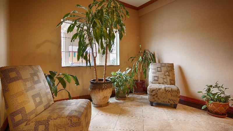 Best Western Cleveland Inn & Suites - photo 10