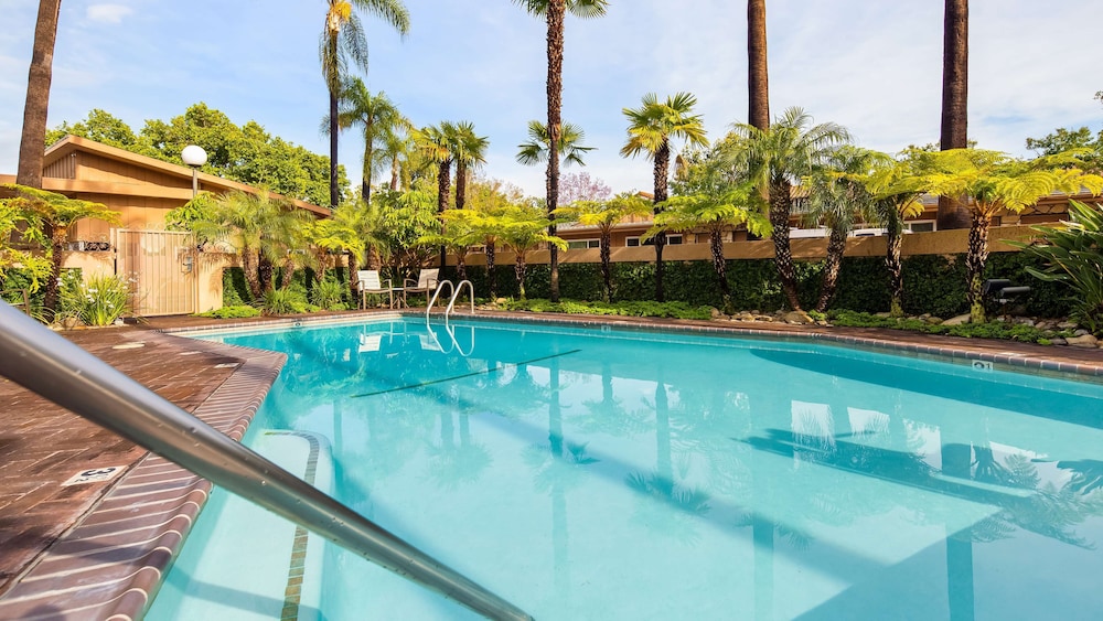 Best Western Pine Tree Motel - photo 15