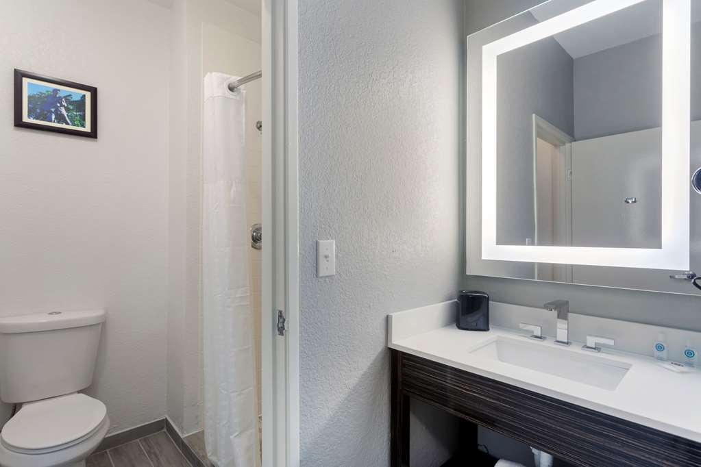 Comfort Inn & Suites Memphis East - photo 26