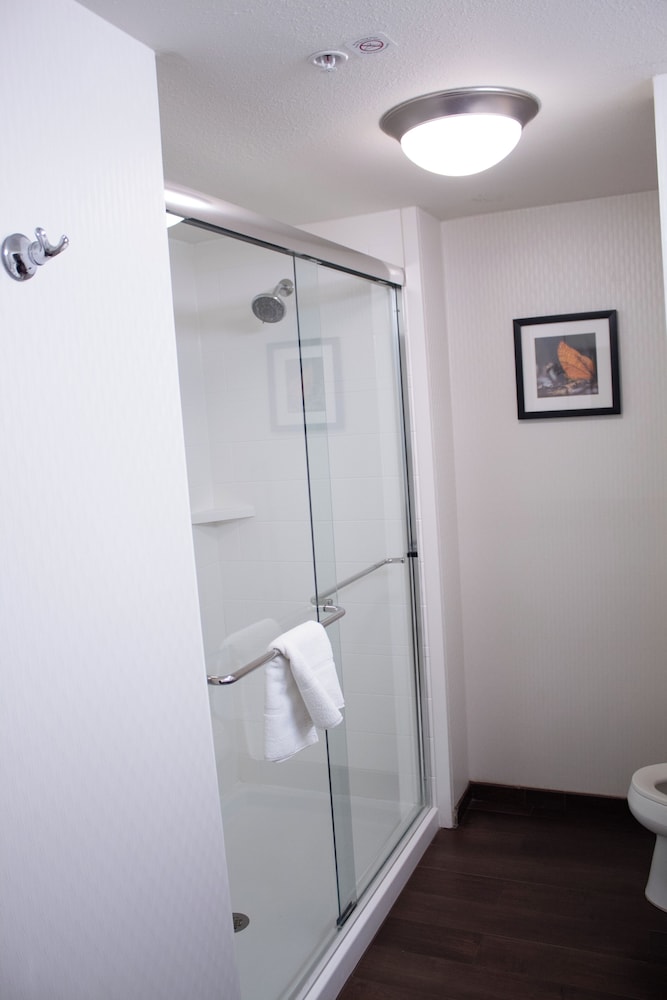 Hampton Inn Big Rapids - photo 24