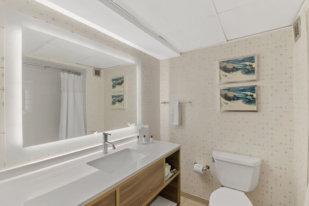Crowne Plaza Houston Med Ctr Galleria Area by IHG - photo 31