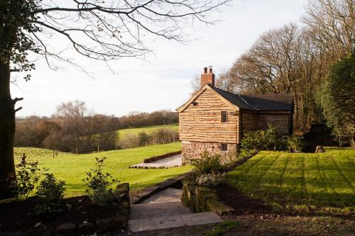 Pheasants Nye in Chester, United Kingdom