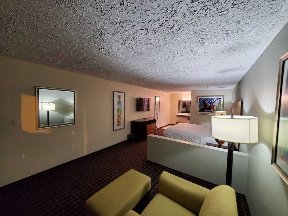Palmetto Inn & Suites - photo 14