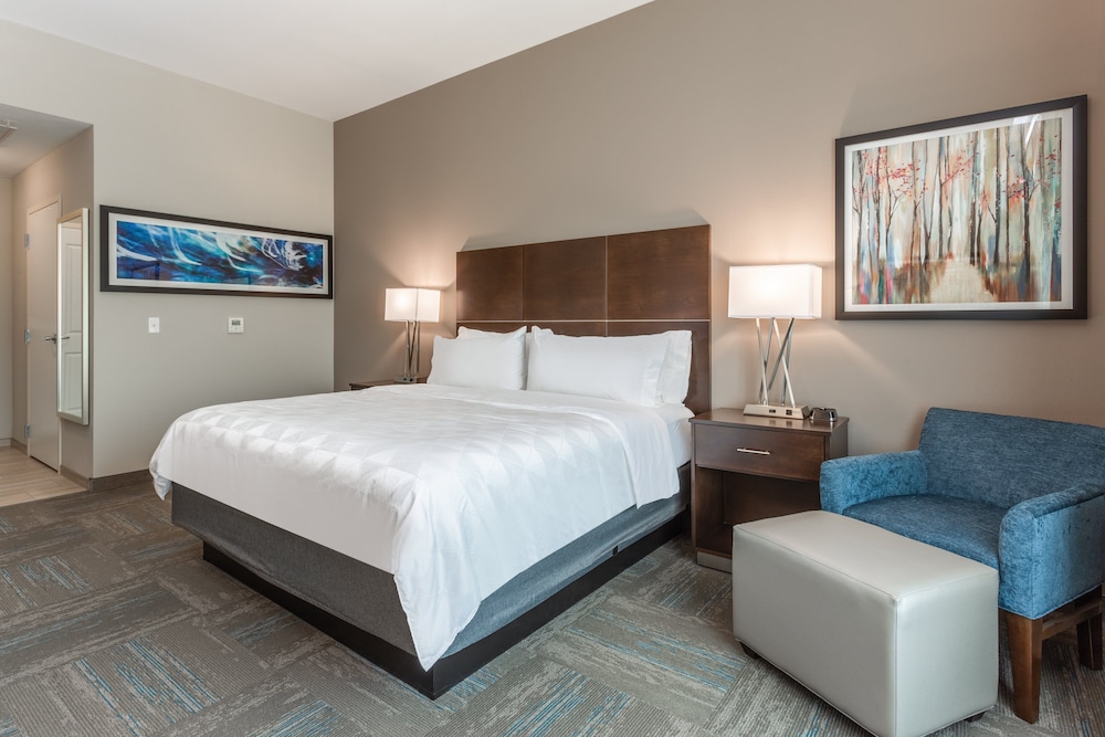 Holiday Inn Hotel & Suites Jefferson City by IHG - photo 5