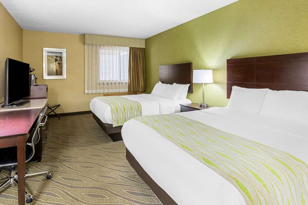 Best Western Gaylord - photo 19