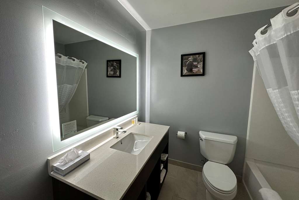 AmericInn by Wyndham Fort Atkinson - photo 18