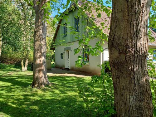 Strandperlen Weidenhof 8 A — 4-Star Luxury Hotel in Wustrow, Germany