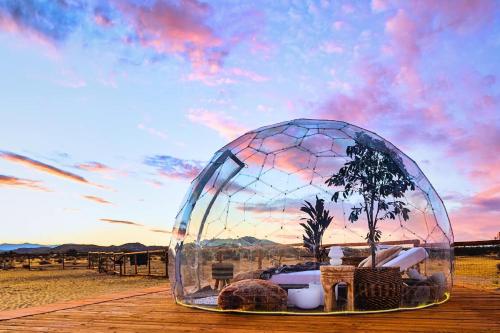 Nowhere By The Cohost Company — 4-Star Luxury Hotel in Joshua Tree, United States