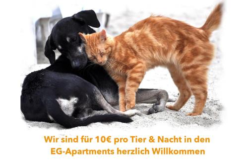 Appartementhaus Möwe in Kirchdorf, Germany