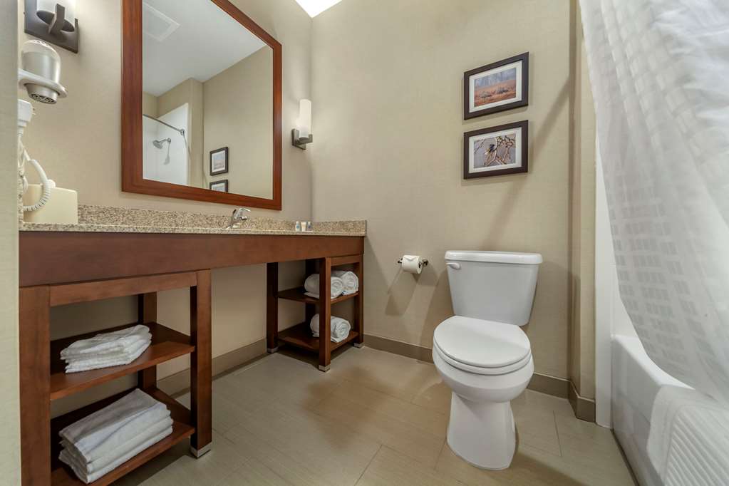 Comfort Suites Grand Island South - photo 11