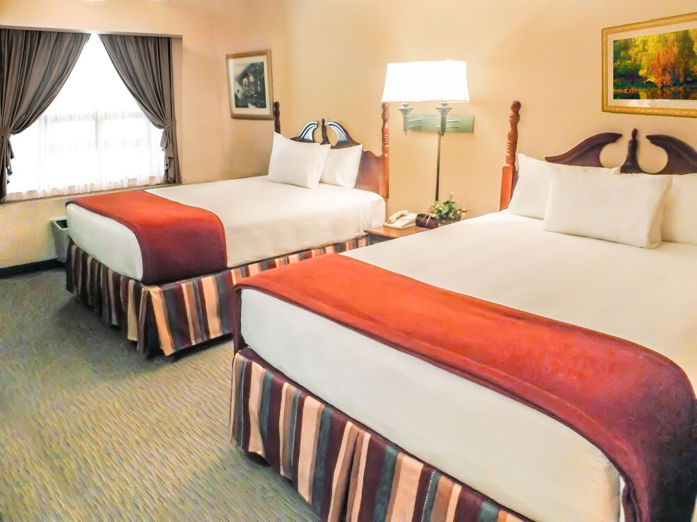 Wild Bear Inn - photo 5