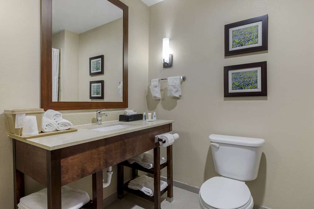 Comfort Suites Benbrook Fort Worth Southwest - photo 24