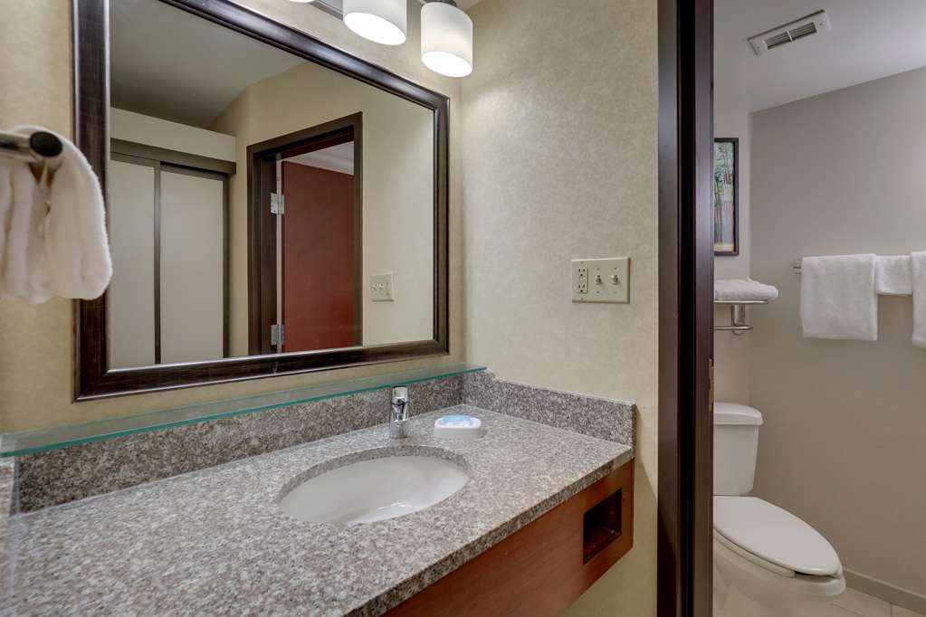 Drury Inn & Suites Charlotte University Place - photo 48