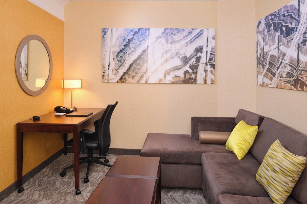 Springhill Suites by Marriott Pittsburgh Mills - photo 8