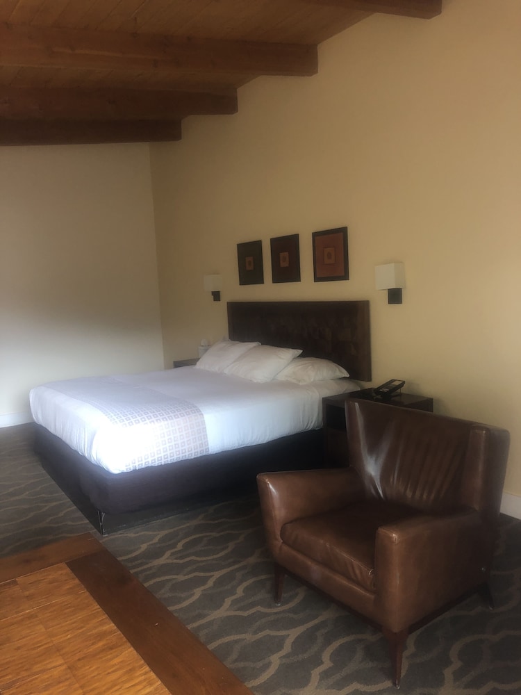 Mount Princeton Hot Springs Resort - photo 16