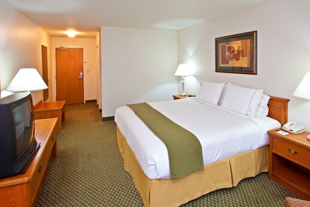 Holiday Inn Express Hotel & Suites an IHG Hotel - photo 3