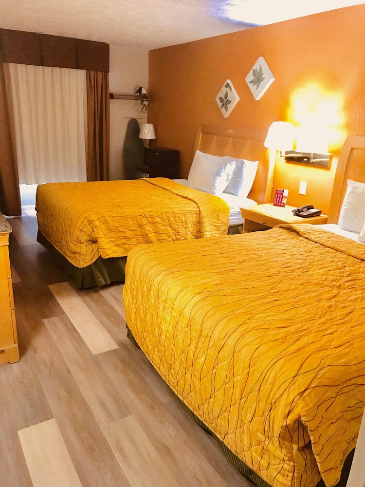 Lyons Inn - photo 6