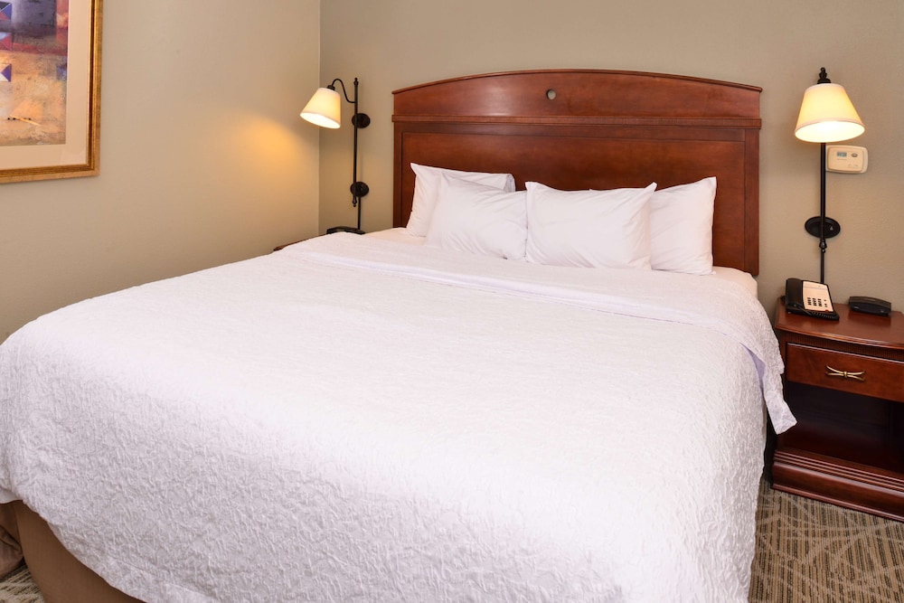 Hampton Inn by Hilton Litchfield - photo 20