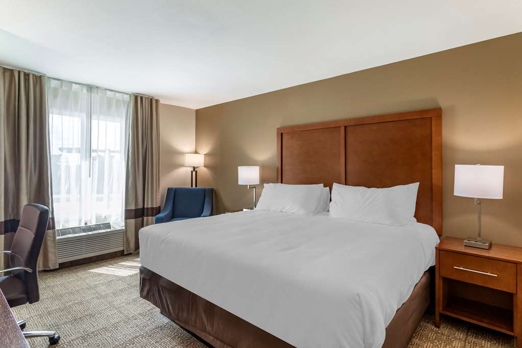 Comfort Inn & Suites Waller - photo 6