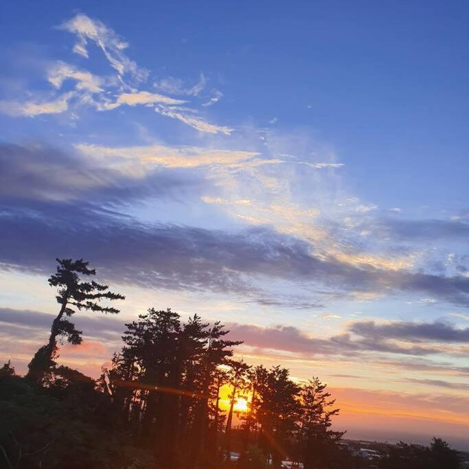 Siyoung's House — 4-Star Luxury Hotel in Jeju City, South Korea