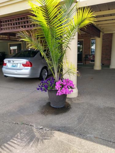 Southern Comfort Suites - photo 7
