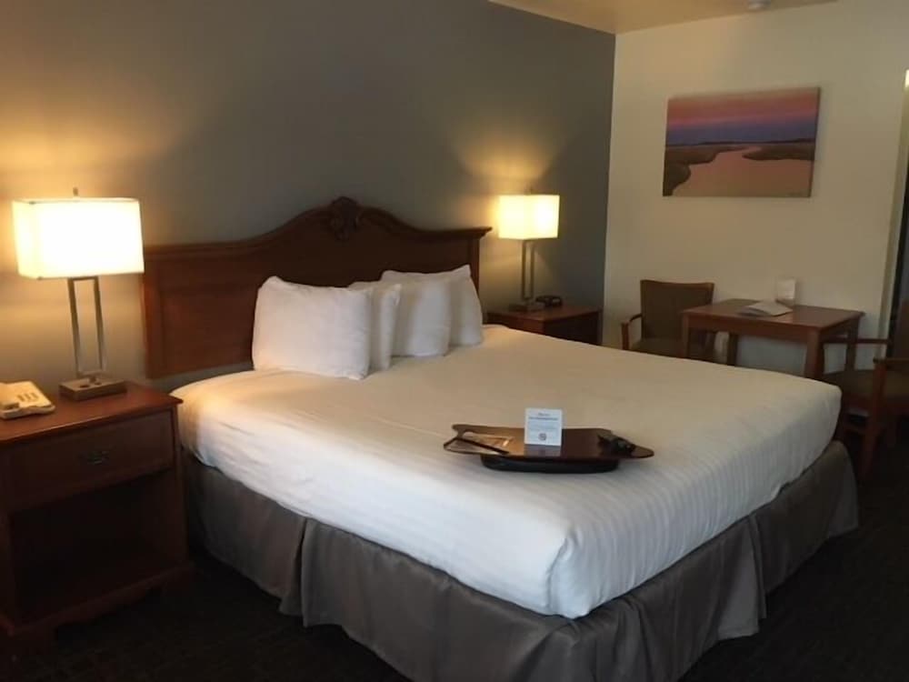 St Michaels Inn - photo 8