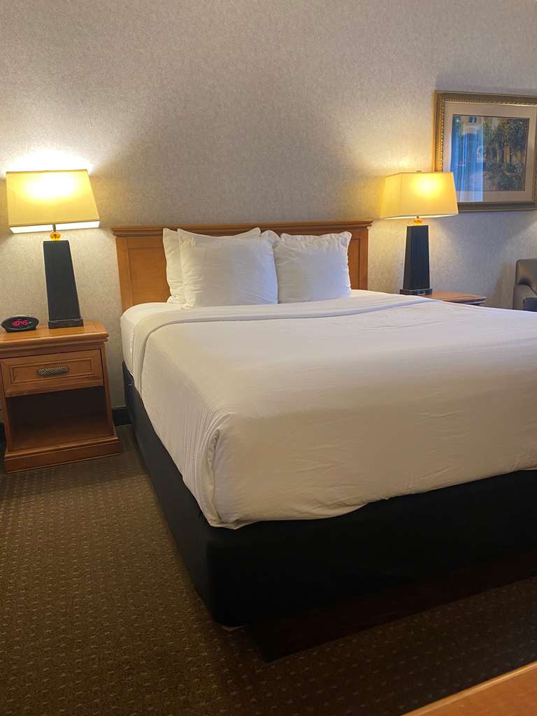 Best Western Plus Kelly Inn - photo 9