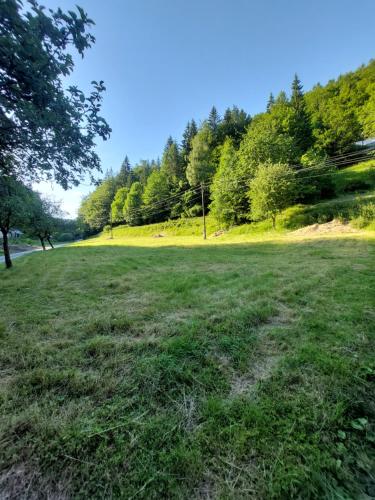 This is only meadow - last minute hotel in Unknown City
