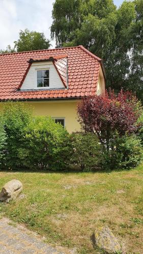 Am Deich 30 Strandadler Zingst — Zingst
