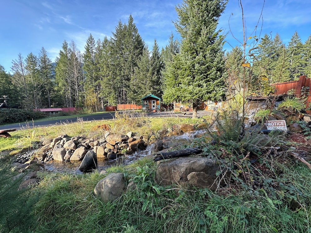 Packwood Lodge - photo 57