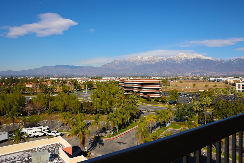 Ontario Airport Hotel & Conference Center - photo 14
