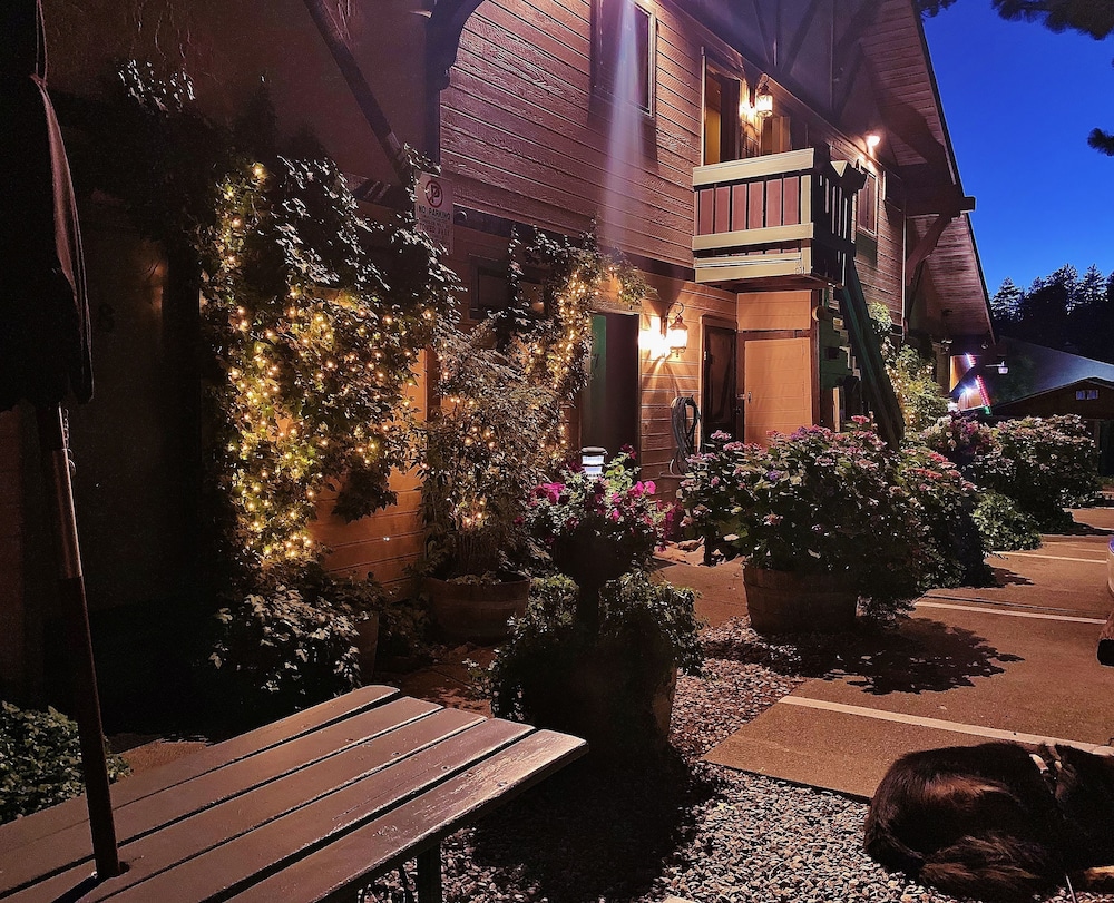 The North Shore Inn - photo 111