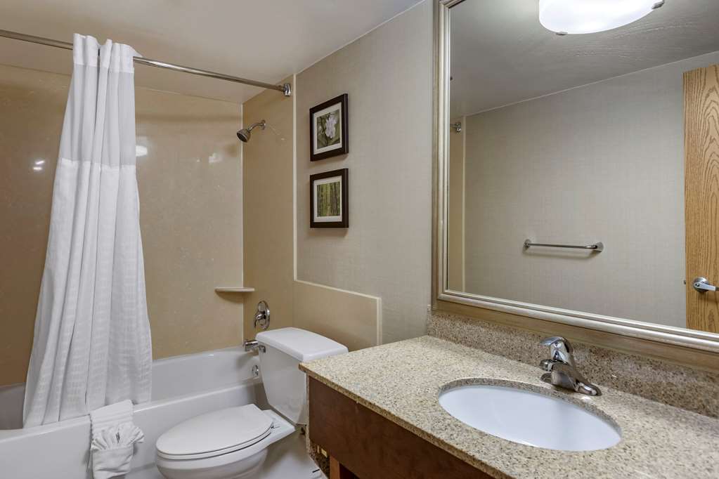Comfort Inn Lansing West - photo 33