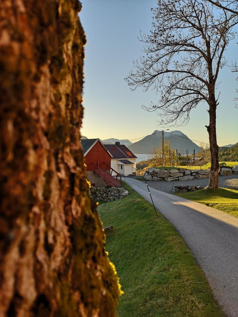 Fjords View — hotel in Sjoholt