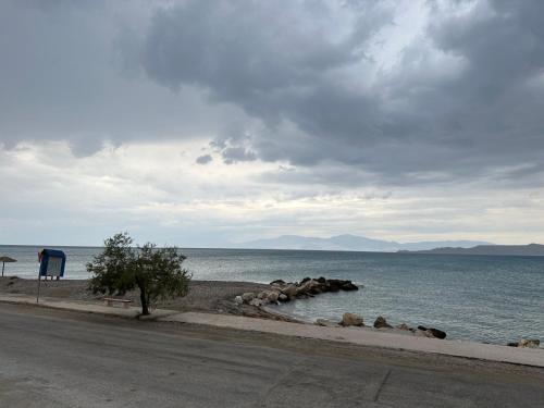 Asaminthos — Unknown City — photo 5
